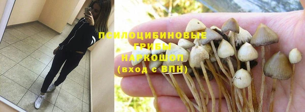 спайс Абаза