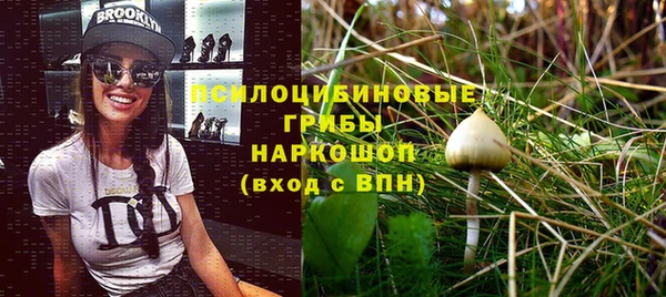 прущая мука Рославль